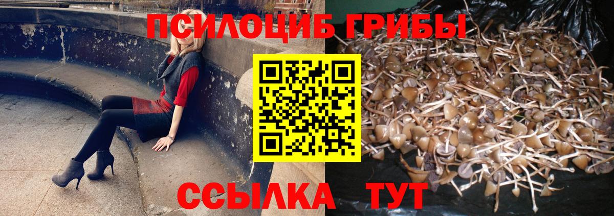 Псилоцибиновые грибы MAGIC MUSHROOMS Электрогорск