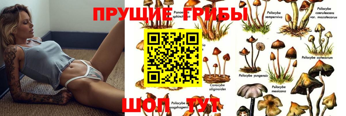 Электрогорск  Псилоцибиновые грибы мухоморы  Вход с VPN  Галлюциногенные грибы GOLDEN TEACHER 